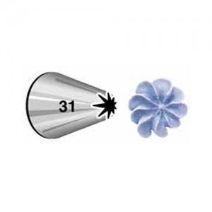 צנטר מספר 31