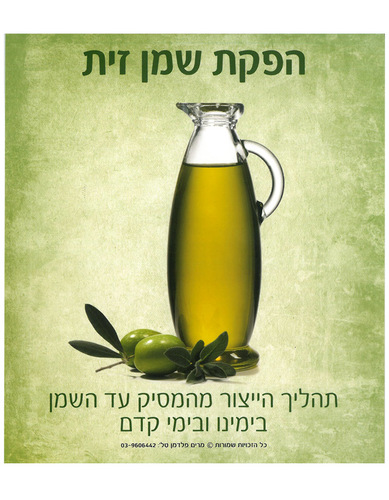 ערכת תהליך הייצור מהמסיק עד השמן/מ.פ.