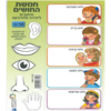 18 חיתוכים ליצירה חמשת החושים 