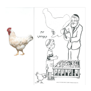 20 יצירה זה כפרתי – יצירה לצביעה + חיתוך תרנגול