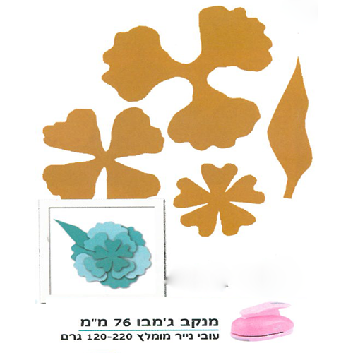 מנקב ג'מבו- פרחים II
