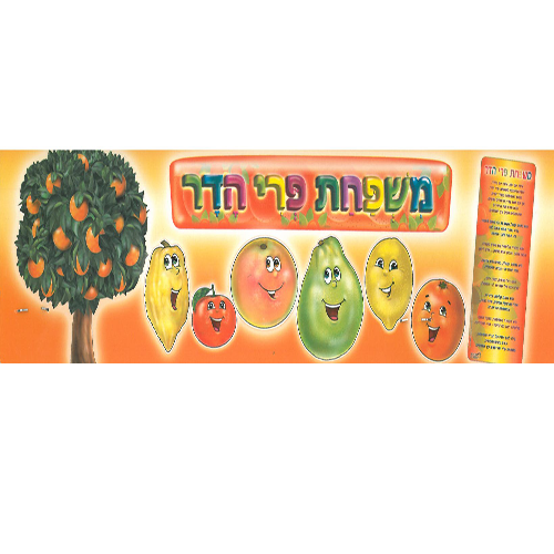 ערכה להמחשה משפחת פרי הדר /ריטרם