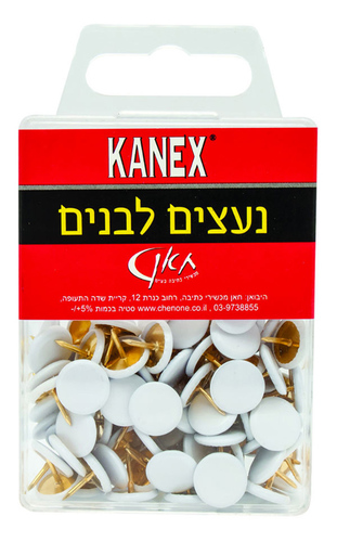 100 נעצים לבנים