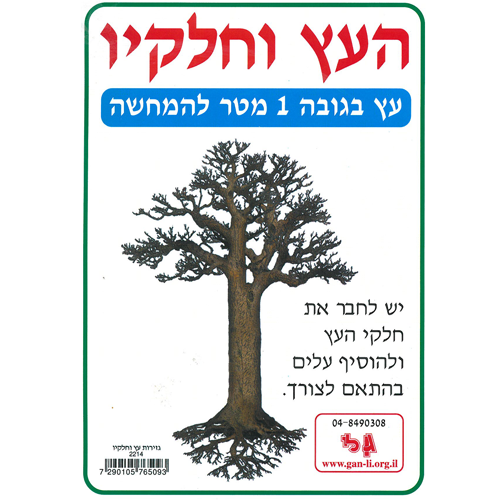 העץ וחלקיו-ערכת המחשה ממפל/גן לי