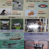 ערכת תמונות יום כיפור/מ.פ.
