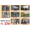 מוצרי חלב – ערכת תמונות תהליך הכנת החלב