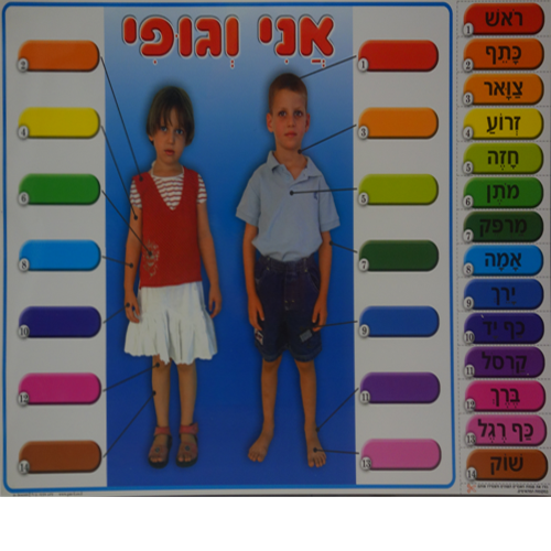 פלקט למינציה ללוח תוכן – אני וגופי