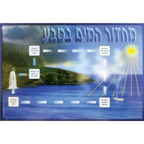 פלקט מחזור המים בטבע