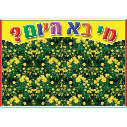 פלקט למינציה מי בא היום