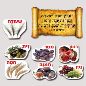 שבעת המינים + כרזה מעוצבת