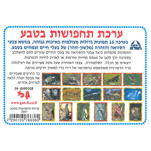 ערכה תחפושות בטבע/גן לי