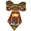 20 עניבה שבת בראשית