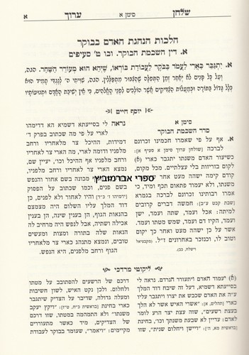 הליכות עולם בן איש חי