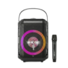 רמקול קריוקי נייד W-King T9S Mini 25W עם מיקרופון