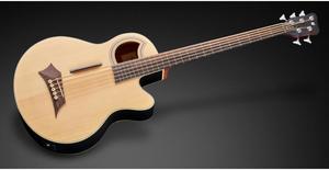 גיטרה בס אקוסטית 5 פרטלס עם סימונים + נרתיק WARWICK ALIEN STANDARD