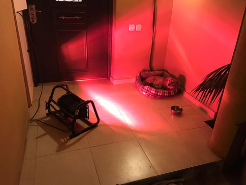 חימום אינפרא אדום- MRGAN SAFARI 1200W SMART HEAT