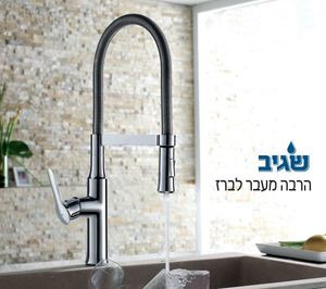 P3 S5000 ברז מיקסר נשלף למטה שגיב