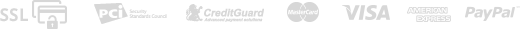 payment_icon