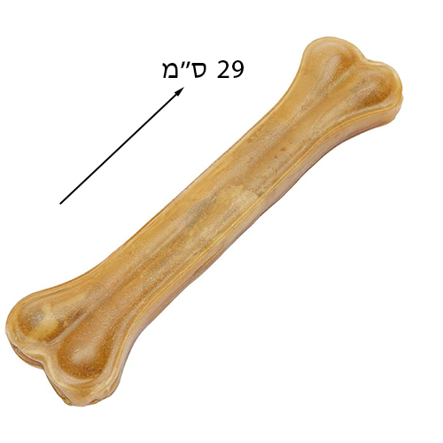 עצם דחוסה טבעית ענקית  29 ס