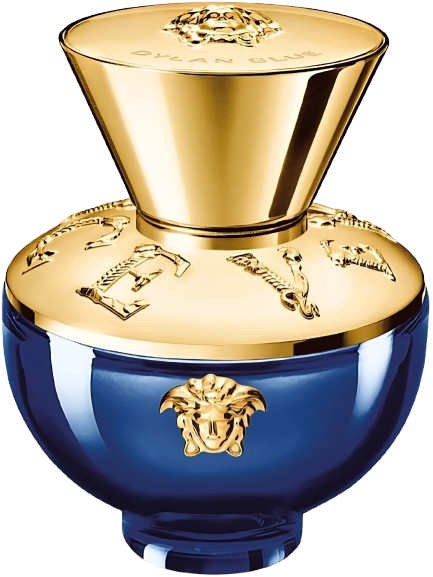 Versace Dylan Blue 100ML EDP ורסצ