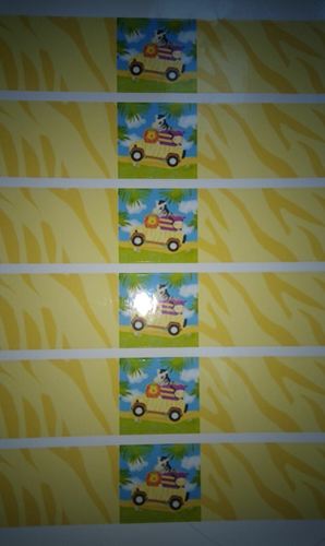 מדבקות מלבניות למיתוג בקבוקים ספארי 6 יח'