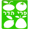 שבלונה פירות הדר