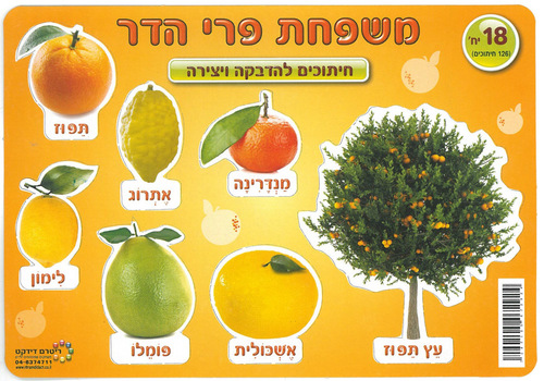 18 חיתוכי משפחת פרי הדר/ריטרם