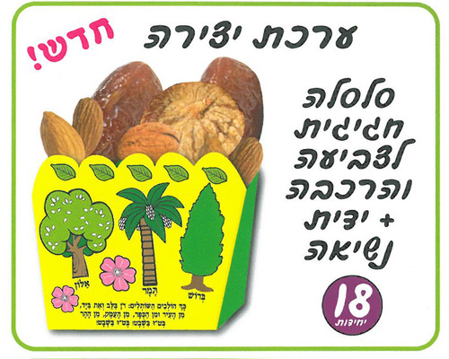 18 יצירה סלסלה חגיגית לט