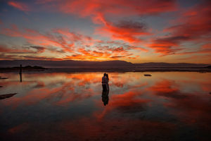 צלם החודש - ניצן גור