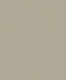 רקע נייר- 9012 Arctic Grey