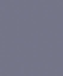 רקע נייר- 9027 Shadow Grey