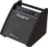 Roland PM-100