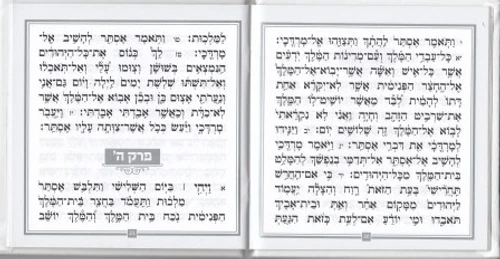 מגילת אסתר דמוי עור פורמט מרובע (M) כריכה קשה