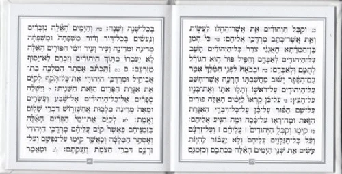 מגילת אסתר דמוי עור פורמט מרובע (M) כריכה קשה