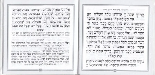 מגילת אסתר דמוי עור פורמט מרובע (M) כריכה קשה