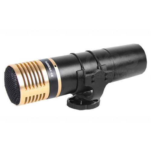 מיקרופון למצלמות רפלקס ווידיאו BOYA VM300PS