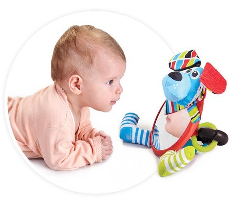 המראה הראשונה שלי עם נשכן ורעשן - כלב