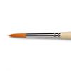 מכחול מספר 10 | סד'-707-טינטורטו