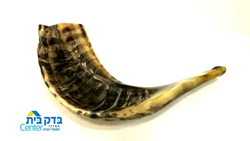 שופר מהודר מס 3