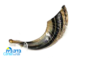 שופר מהודר מס 2