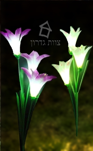 פרח שושן סולארי