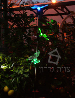פרפרים סולאריים