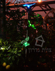 פרפרים סולאריים