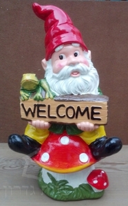 גמד על פטרייה - Welcome