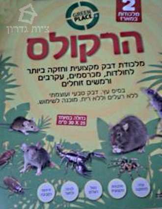 מלכודת דבק ענקית מעץ לחולדות, לעכברים ולעקרבים