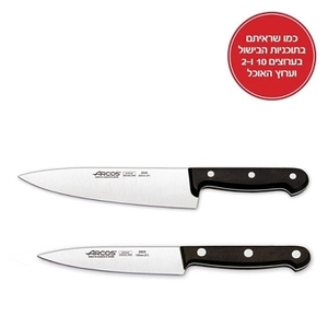 ARCOS סכין לשף 20 סמ + סכין ירקות 12 ס דגם B80  ארקוס