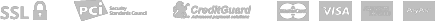 payment_icon