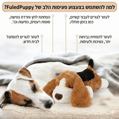 בובת הרגעה לגורים וכלבים עם מנגנון פעימות לב אמיתי | SafePws