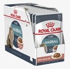 מארז 12 יחידות - רויאל קנין Royal canin פאוץ' לחתול-היירבול ברוטב 85 ג'