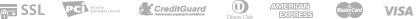 payment_icon
